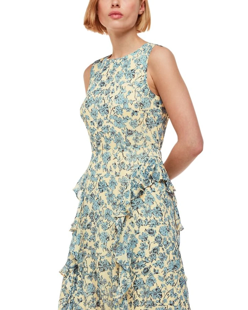 Shaded Floral Nellie Dress