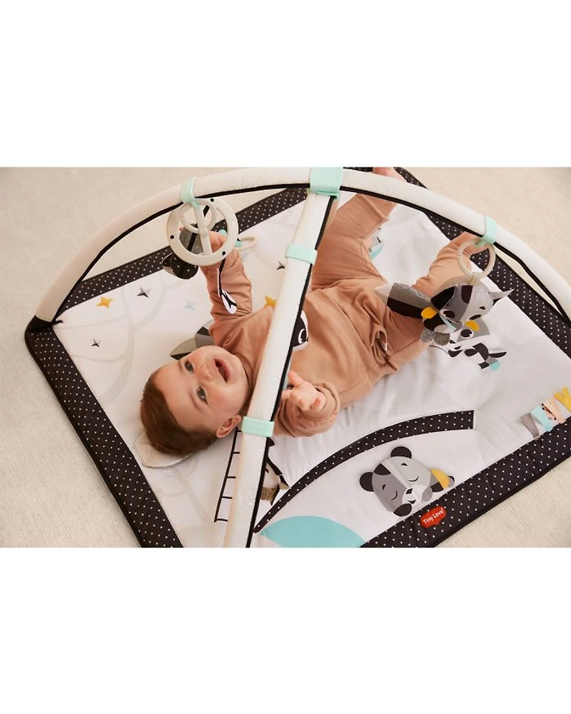 Magical Tales Gymini Baby Activity Gym and Mat - Ages 0+