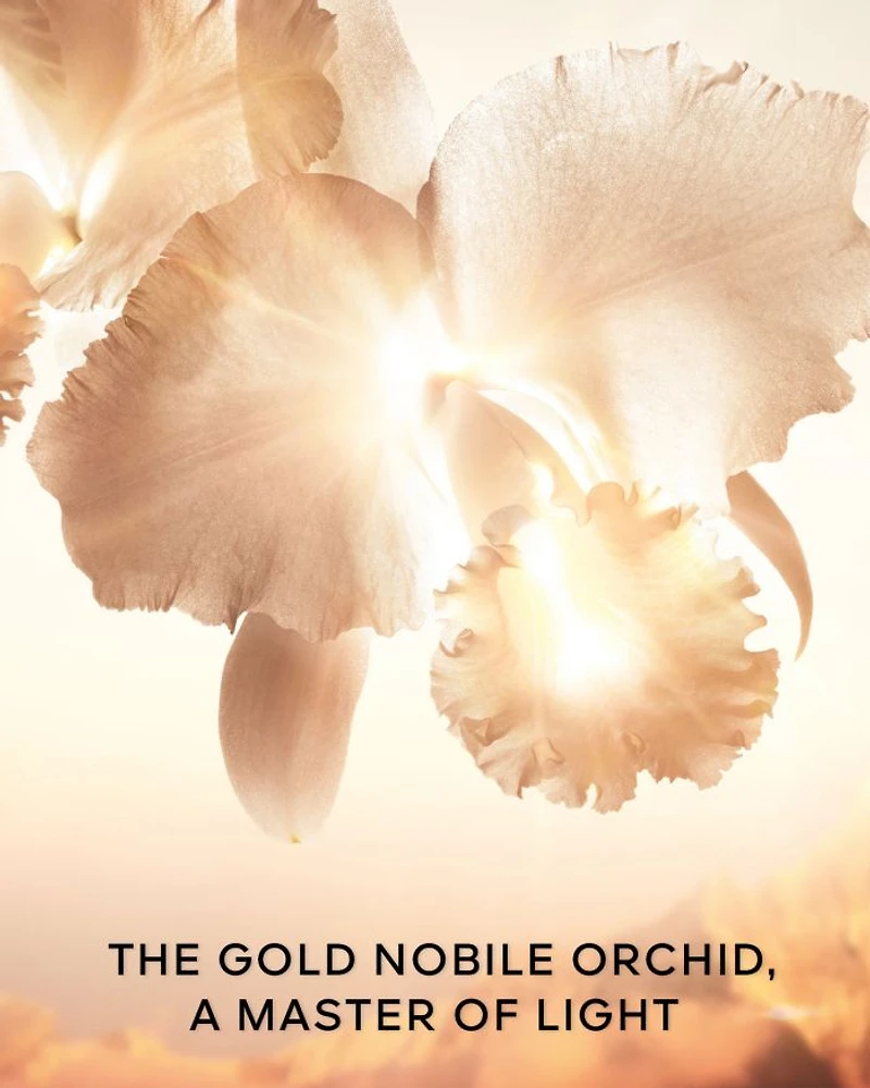 Orchidée Impériale Gold Nobile The Cream 1.7 oz.