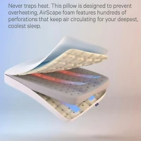 Foam Pillow with Snow Technology™, King