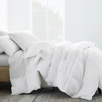 Down Duvet Insert