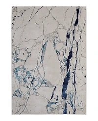 Feizy Indio IND39GWF Area Rug, 8' x 10'