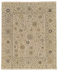 Feizy Amherst 7390759F Area Rug