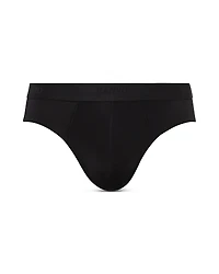 Hanro Micro Touch Briefs