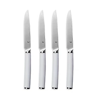 Material Matte Stainless Steel Set of 4 Table Knives and Holder