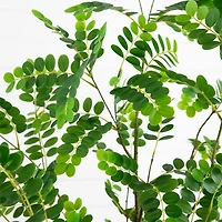 6' Artificial Greco Citrus Tree with Real Touch Leaves