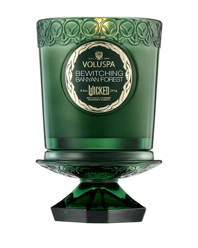 Limited Edition Wicked Bewitching Banyan Forest Boxed Candle, 8.5 oz