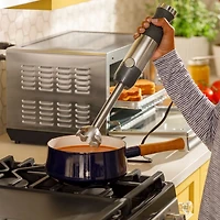 500 Watt Immersion Blender with Accessories