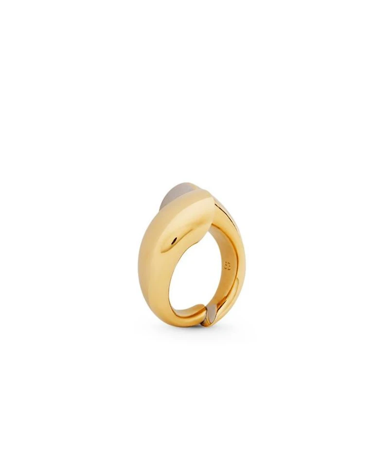 Sequence Ring