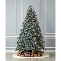 Seasonal Llc Blue Spruce 7.5' Tree Warm White Led Lights