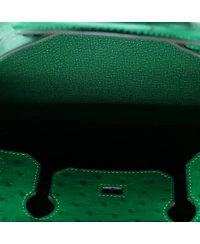 Birkin 30 Handbag Green Ostrich with Palladium Hardware