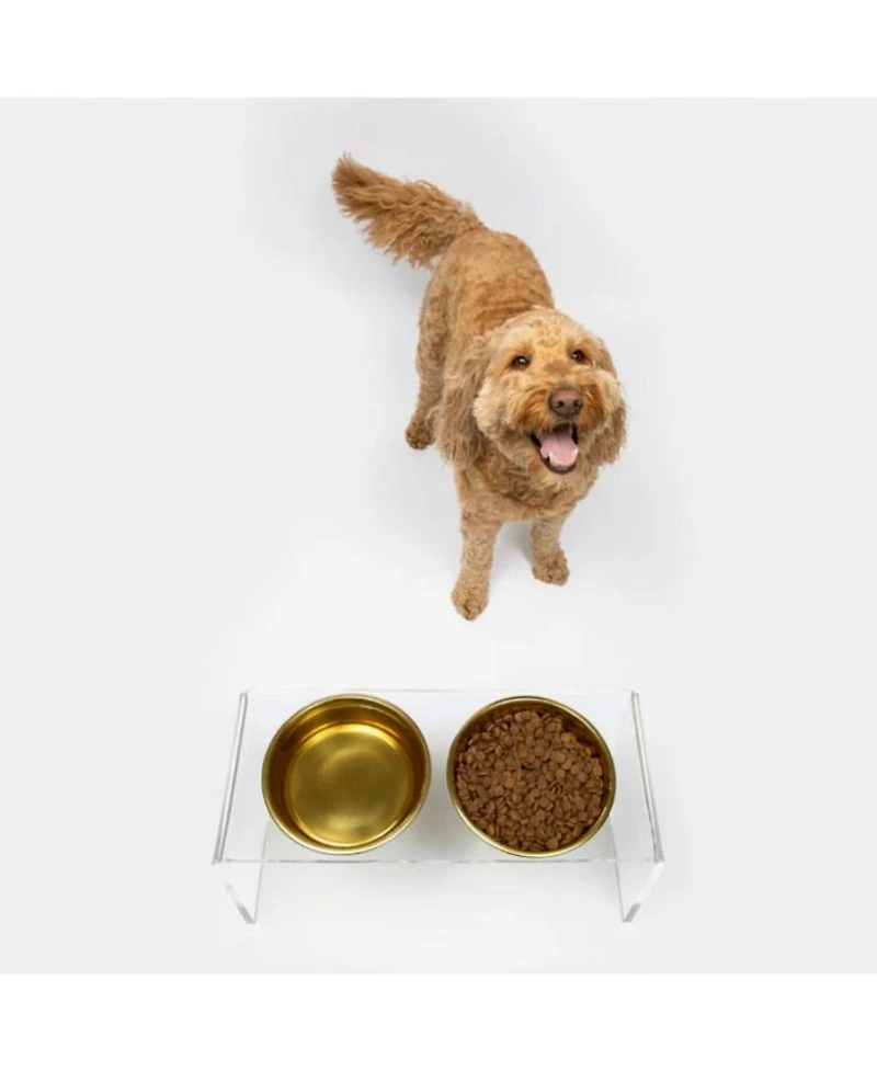 Medium Clear Double Bowl Pet Feeder, 1 Quart Bowls
