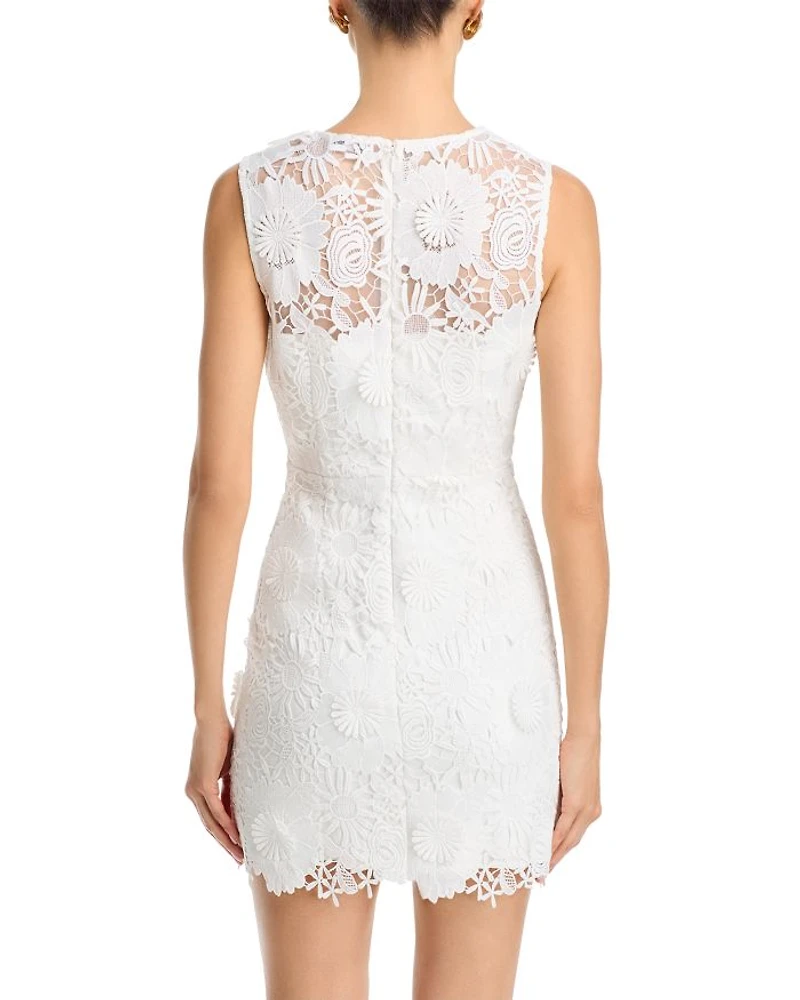Judy Cady Lace Combo Mini Dress