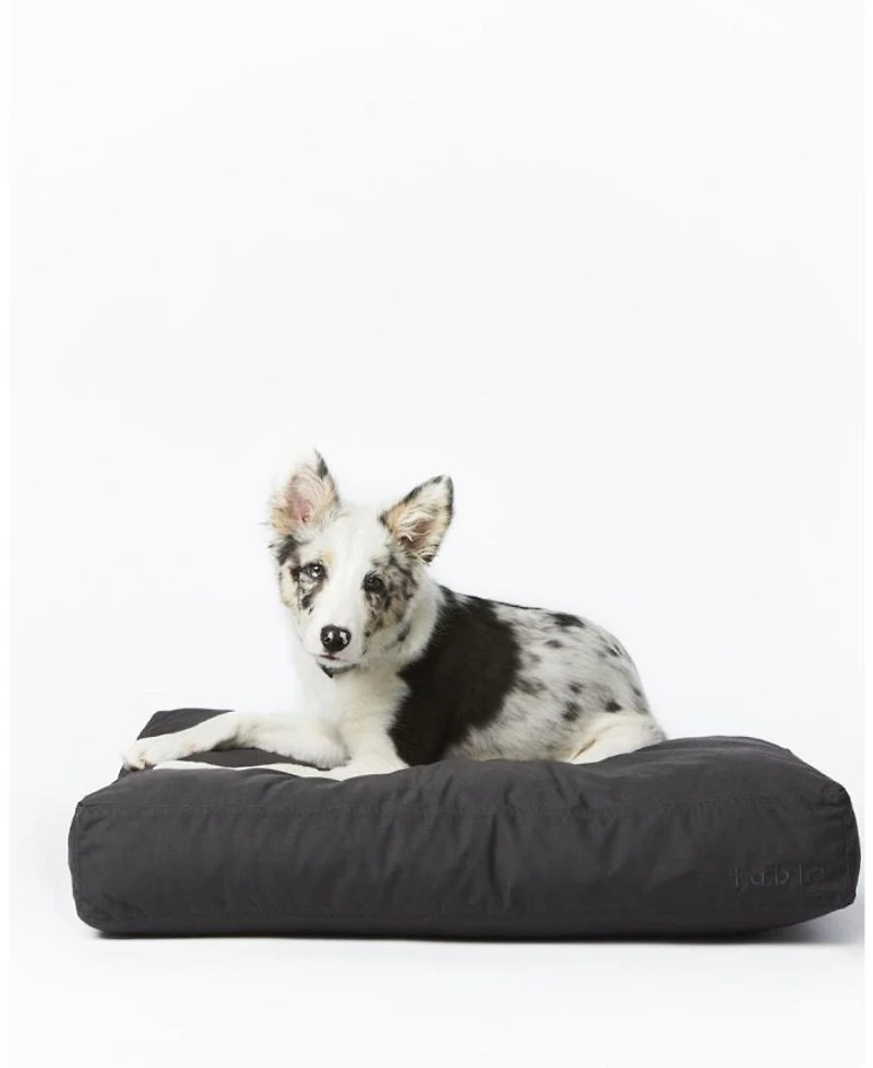 Signature Bed - Medium