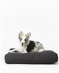 Signature Bed - Medium