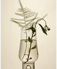 Niacinamide Heartleaf Calming Serum