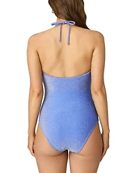 Shimmer One Piece Swimsuit