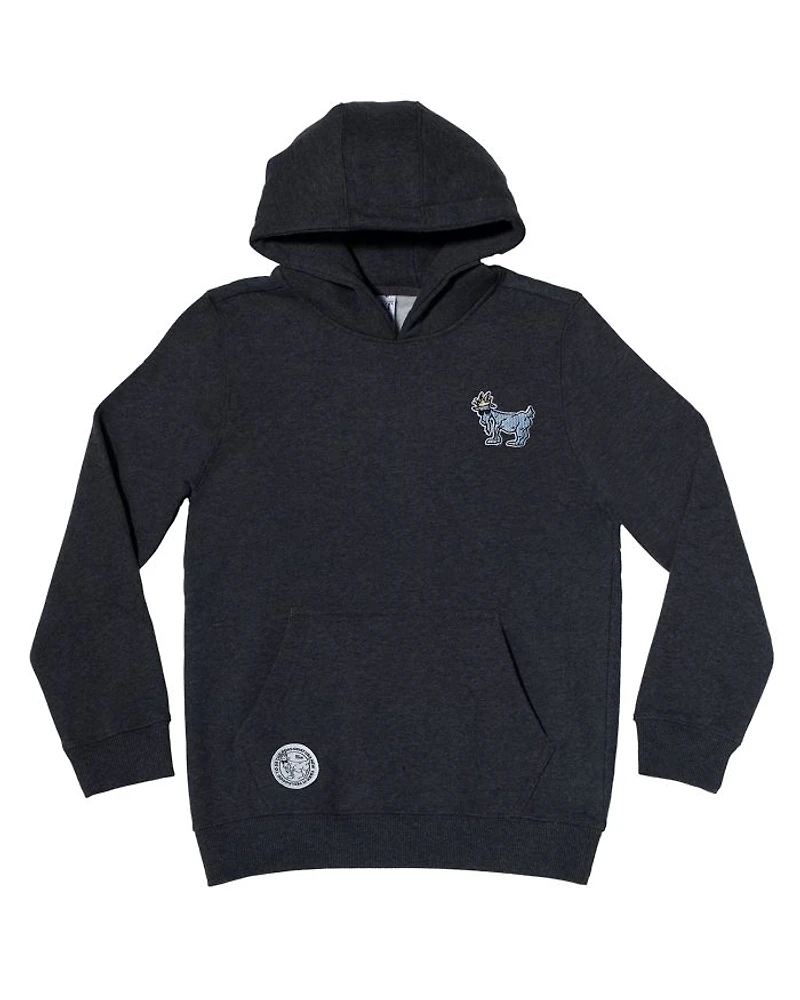 Boys' OG Hooded Sweatshirt - Big Kid
