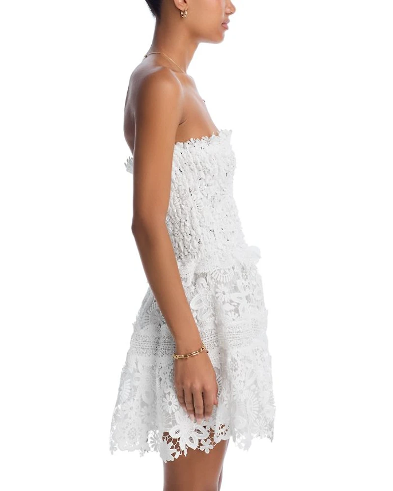 Tiffany Lace Mini Dress