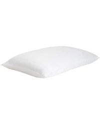 Cozy Earth Silk Pillow, King