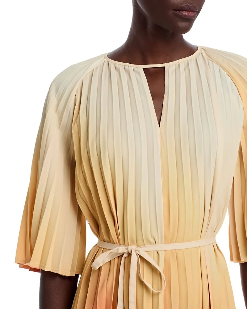 Pleated Ombre Crepe de Chine Dress
