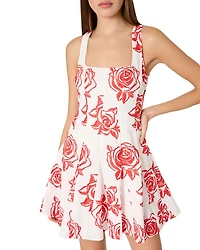 Ariel Rose Embroidered Dress