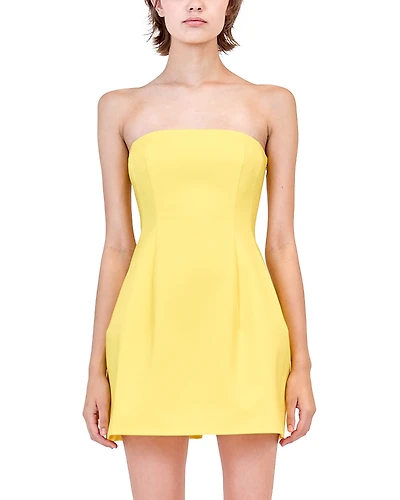 Simkhai Arta Bustier Mini Dress