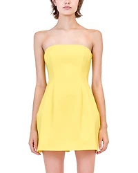 Simkhai Arta Bustier Mini Dress