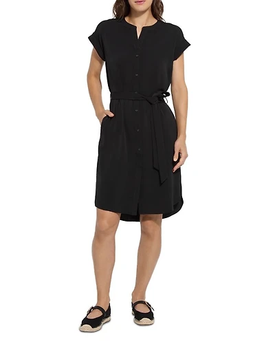 Blakely Pull On Dress