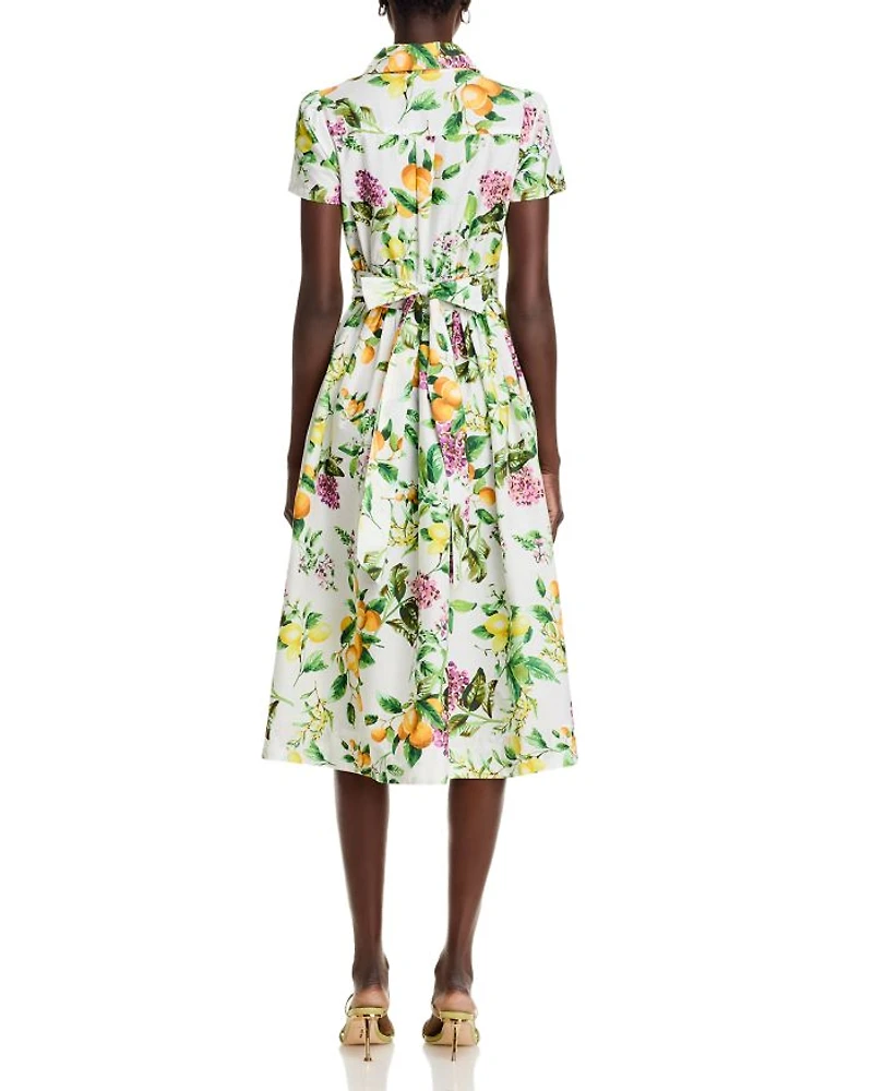 Lemon Print Fit & Flare Poplin Shirt Dress - Exclusive