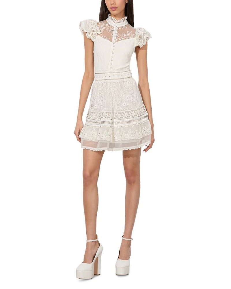Vernita Embroidered Mini Dress
