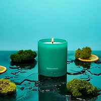 Herbaceous Standard Candle, 8.5 oz.
