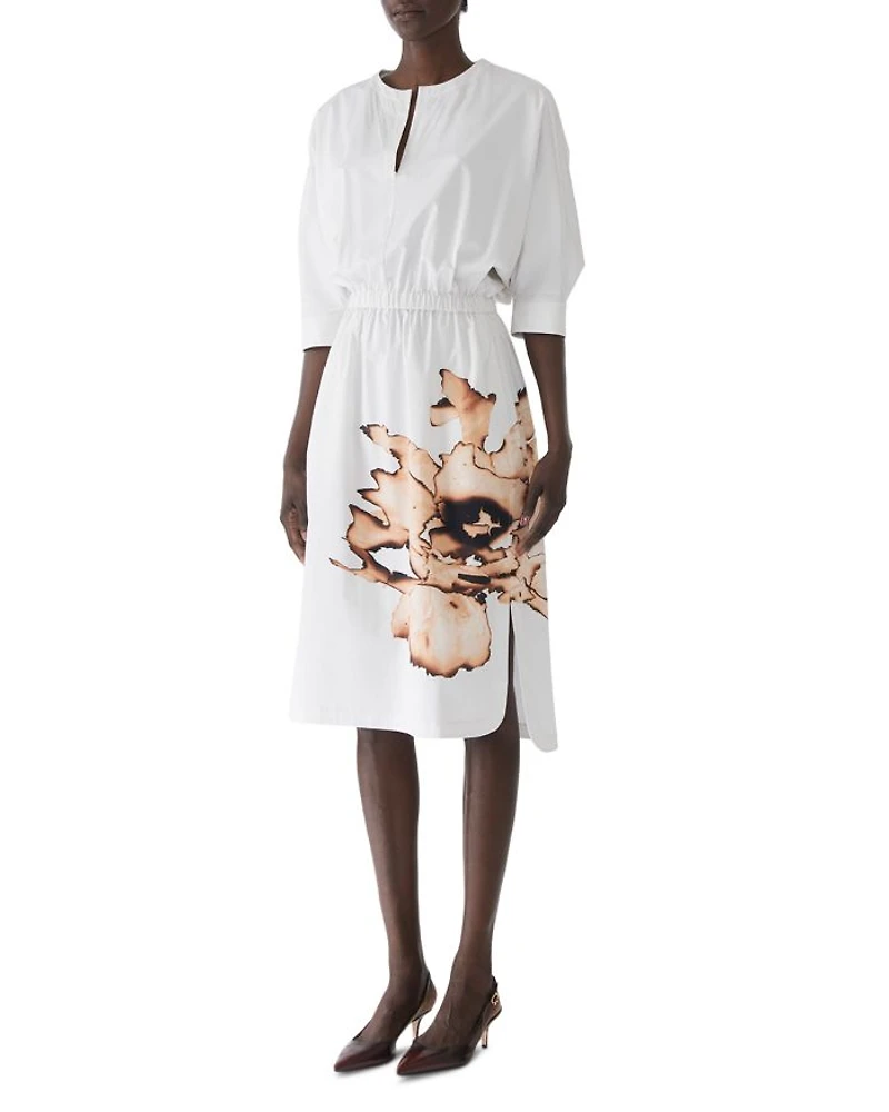 Dolman Sleeve Dress