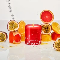 Passion Pit Standard Candle