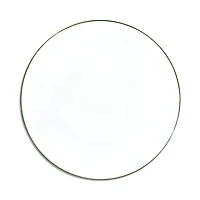 Non Sans Raison Concorde Salad Plate