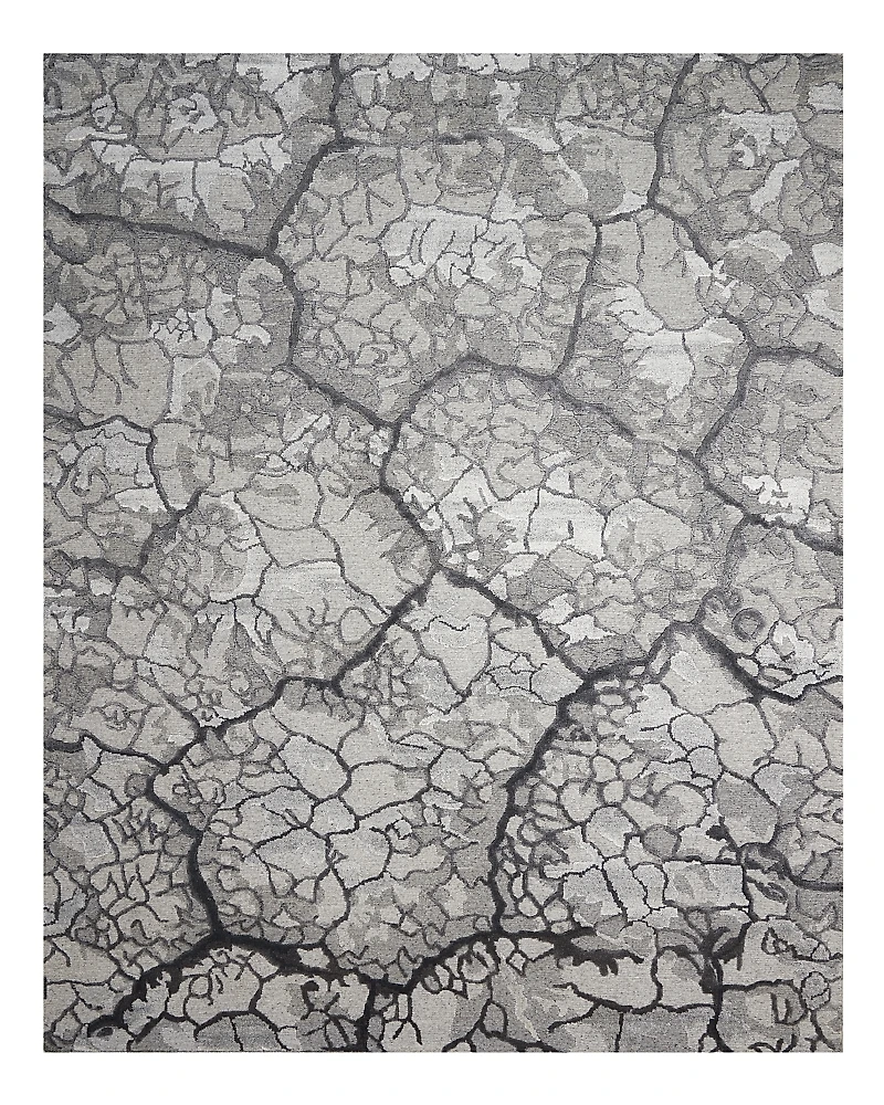 Nourison Divine DIV02 Area Rug