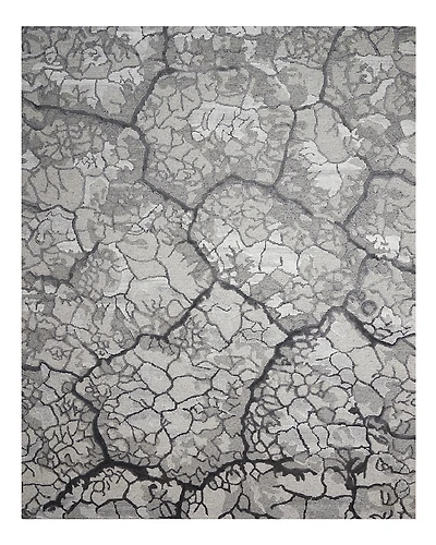 Nourison Divine DIV02 Area Rug