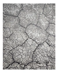 Nourison Divine DIV02 Area Rug