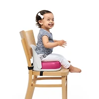 Perch Booster Seat