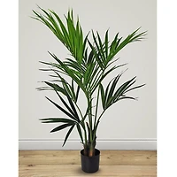 Kentia Palm Faux Plant Arrangement