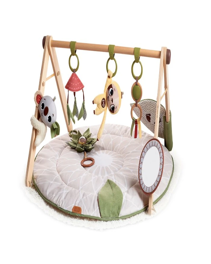 Boho Chic Luxe Developmental Gymini - Ages 0-36 Months