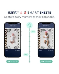 Smart Sheets
