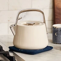 Stainless Steel Tea Kettle
