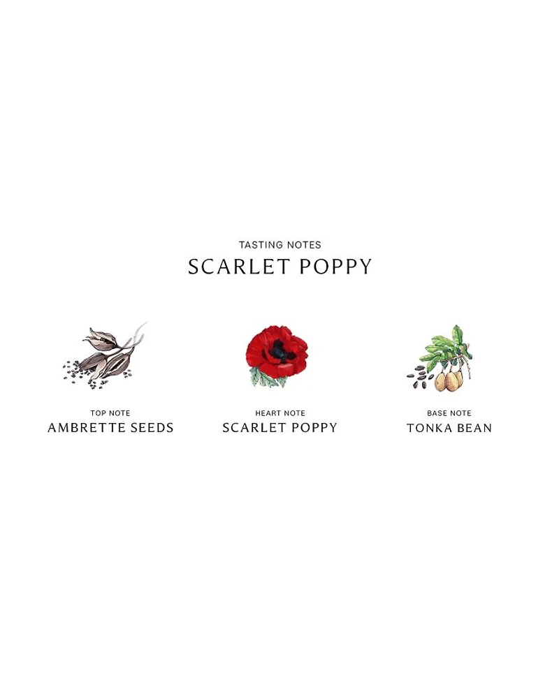 Scarlet Poppy Cologne Intense