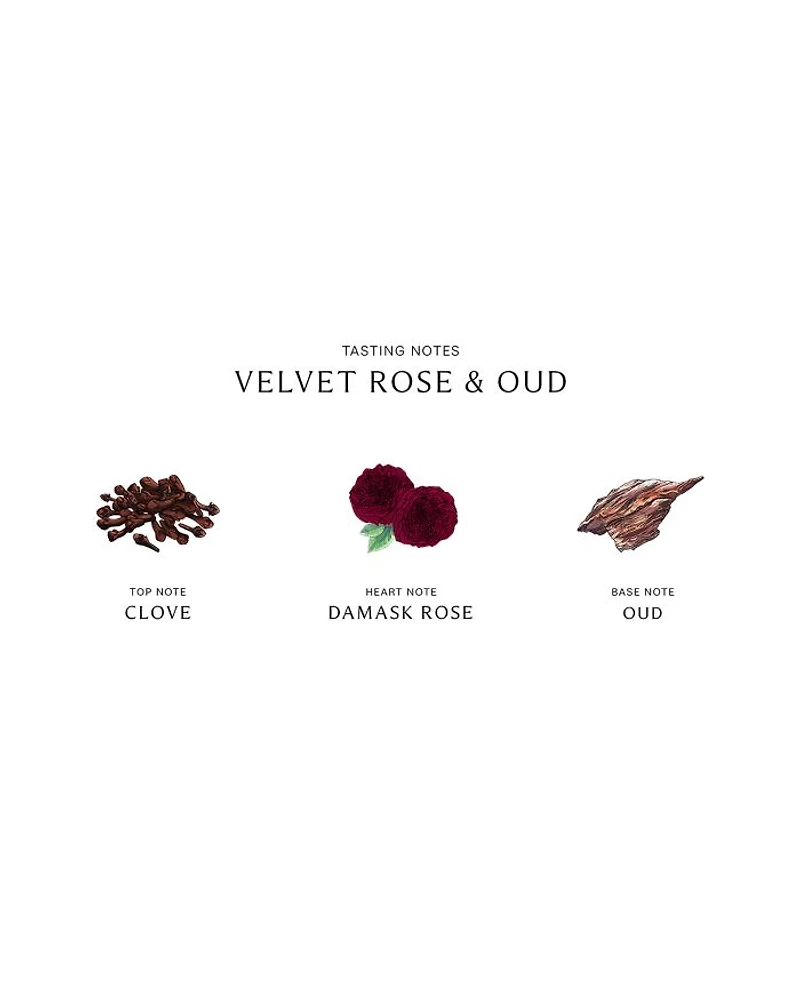 Velvet Rose & Oud Home Candle 7 oz.