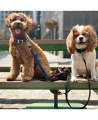 Short Susan Leather Dog Leash with Acrylic Handle