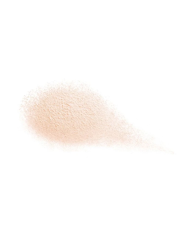 Future Solution LX Total Radiance Loose Powder