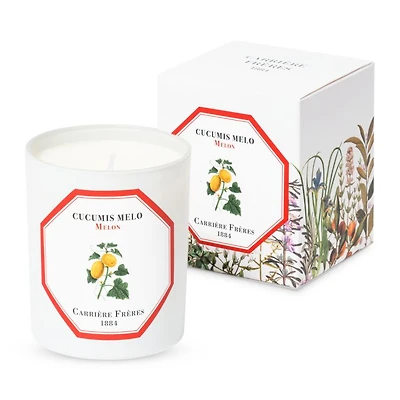 Melon Scented Candle, 6.5 oz.