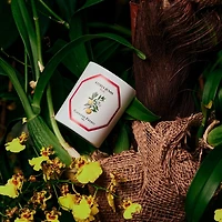 Yuzu Scented Candle, 6.5 oz.