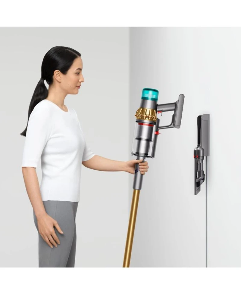 V15 Detect Absolute Cordless Vacuum